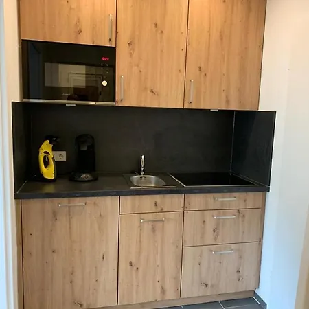 Haus Am Sonnenberg,todtnauberg, 105, Direkt Am Skilift-skipiste, Naehe Feldberg *