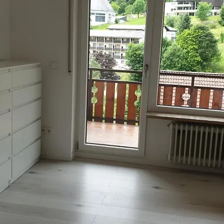 Apartamento Haus Am Sonnenberg,todtnauberg, 105, Direkt Am Skilift-skipiste, Naehe Feldberg Todtnauberg