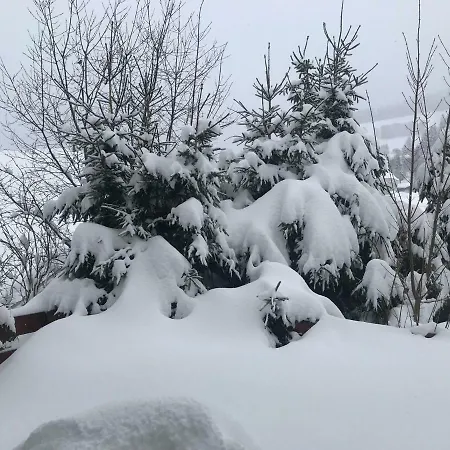 Haus Am Sonnenberg,todtnauberg, 105, Direkt Am Skilift-skipiste, Naehe Feldberg
