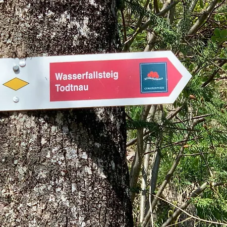 Haus Am Sonnenberg,todtnauberg, 105, Direkt Am Skilift-skipiste, Naehe Feldberg *