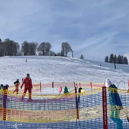 Haus Am Sonnenberg,todtnauberg, 105, Direkt Am Skilift-skipiste, Naehe Feldberg Apartment
