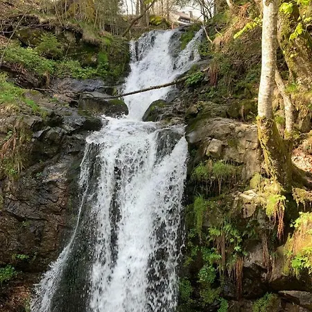 Apartamento Haus Am Sonnenberg,todtnauberg, 105, Direkt Am Skilift-skipiste, Naehe Feldberg *