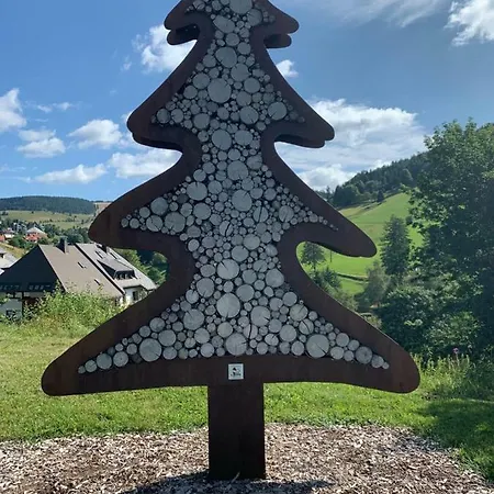 Haus Am Sonnenberg,todtnauberg, 105, Direkt Am Skilift-skipiste, Naehe Feldberg *