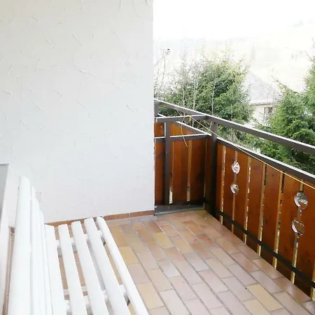 Haus Am Sonnenberg,todtnauberg, 105, Direkt Am Skilift-skipiste, Naehe Feldberg Apartment Todtnauberg