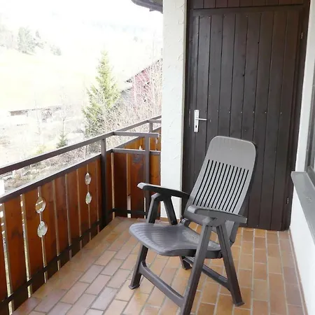 Haus Am Sonnenberg,todtnauberg, 105, Direkt Am Skilift-skipiste, Naehe Feldberg Apartment