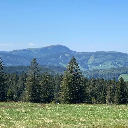 Haus Am Sonnenberg,todtnauberg, 105, Direkt Am Skilift-skipiste, Naehe Feldberg Apartment