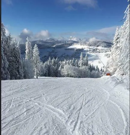 Haus Am Sonnenberg,todtnauberg, 105, Direkt Am Skilift-skipiste, Naehe Feldberg Apartamento Todtnauberg