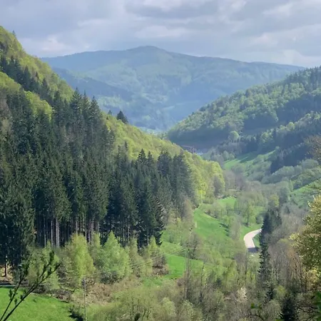 Haus Am Sonnenberg,todtnauberg, 105, Direkt Am Skilift-skipiste, Naehe Feldberg * Todtnauberg